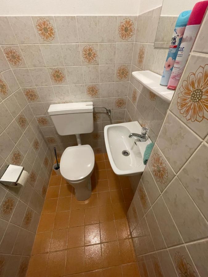 Ferienwohnung Maxi ไมส์โฮเฟิน ภายนอก รูปภาพ